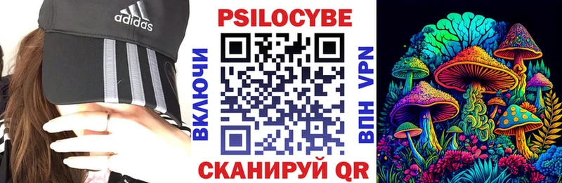Галлюциногенные грибы Cubensis  Купить закладки  Ипатово 